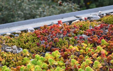 the cost of Glenfarg green roof installation