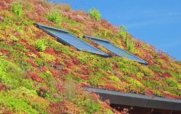 Glenfarg living roof systems