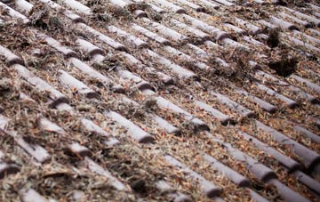 Glenfarg roof cleaning companies